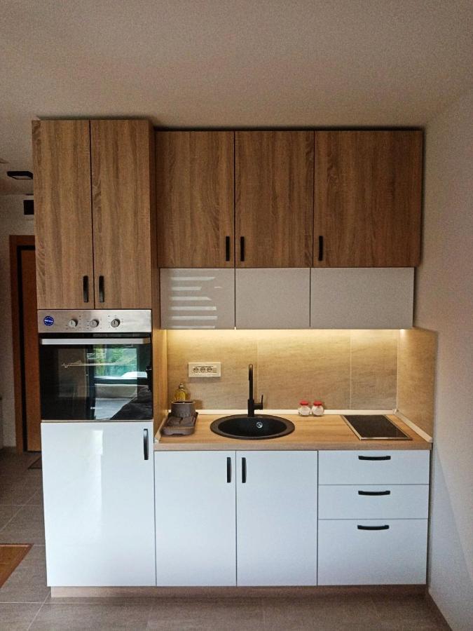 Studio Apartman Gorski Kristal Zlatibor Eksteriør billede